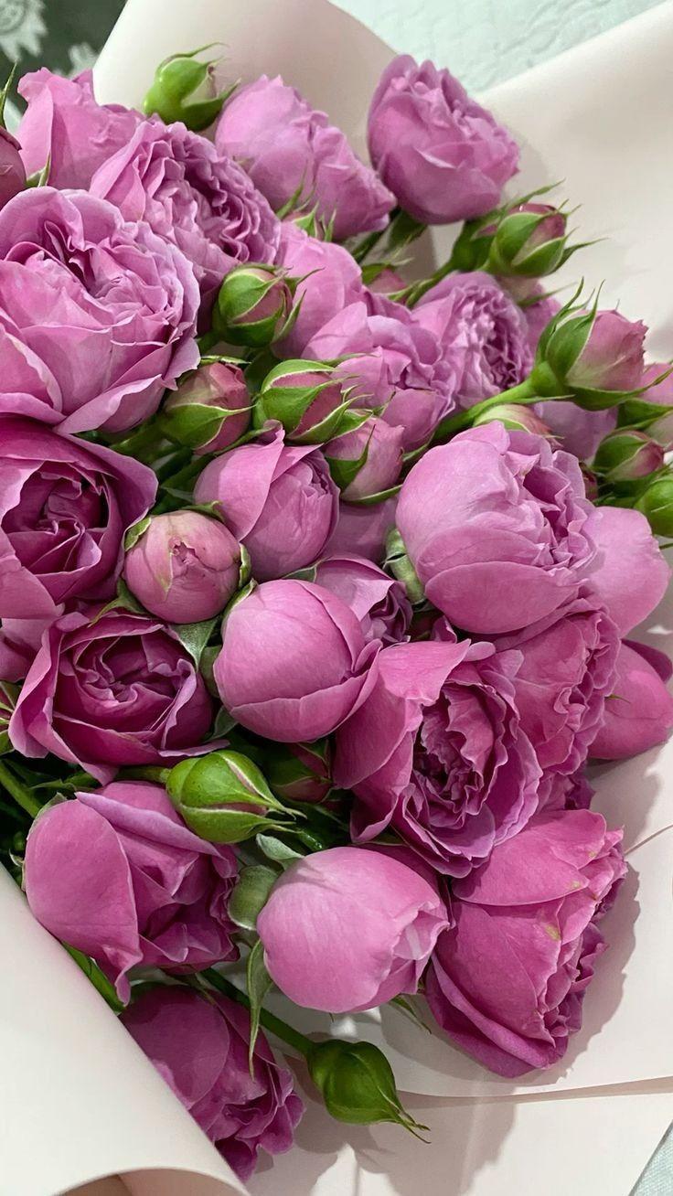 Eden's Whisper: Gentle Floral Cascade